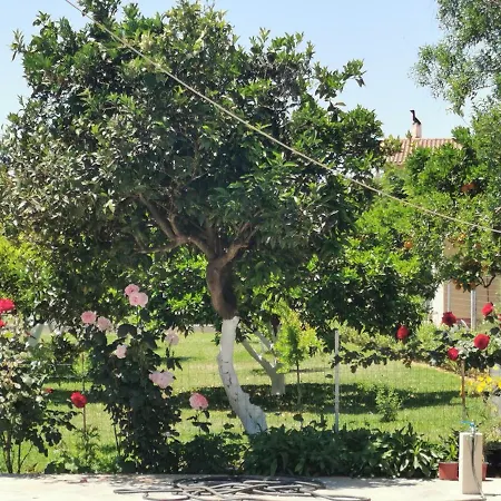 Kardiakafti Village Gastouni Exterior photo