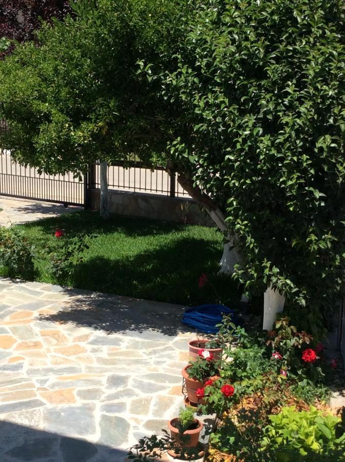 Apartment Kardiakafti Village *