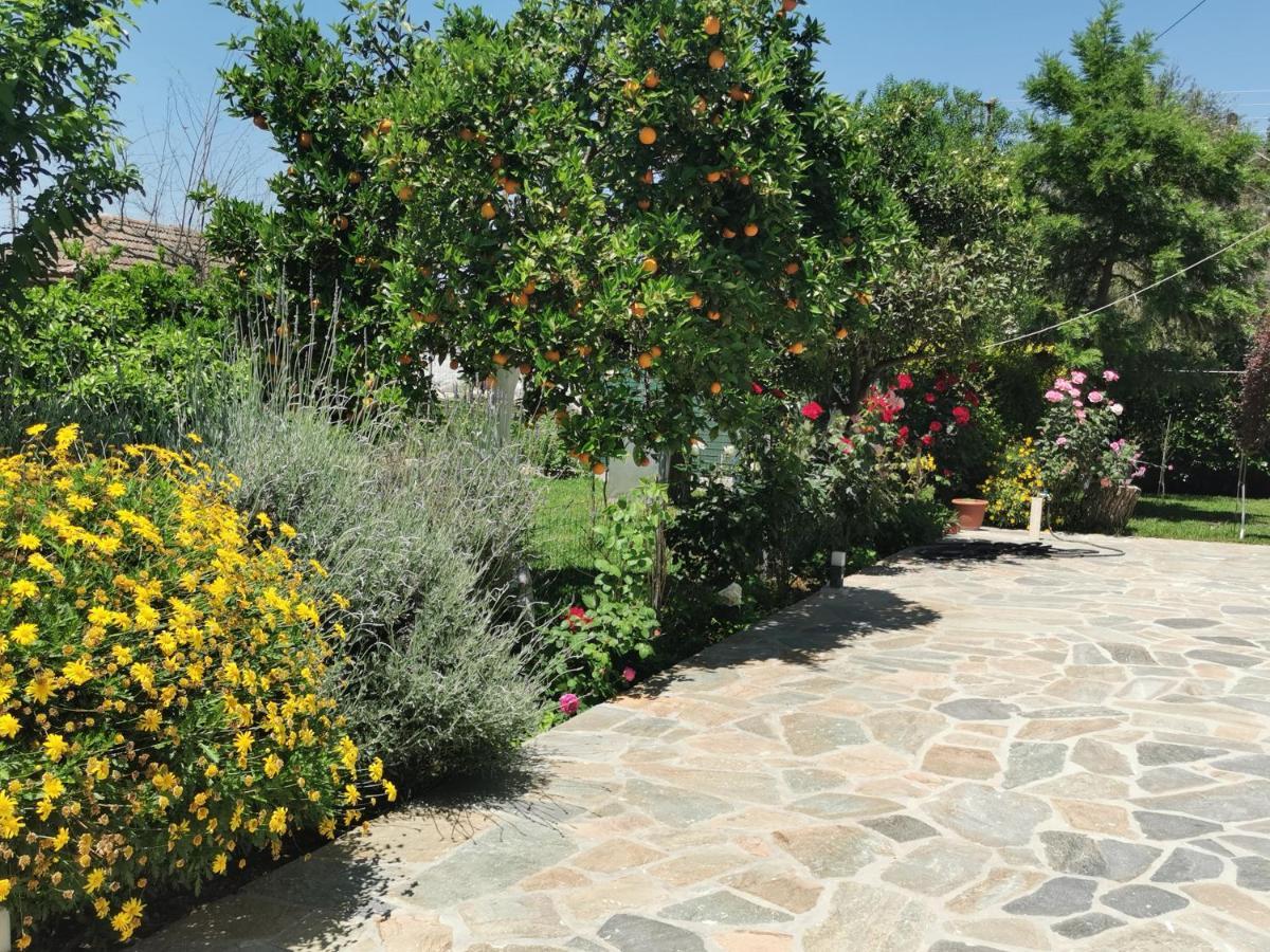Kardiakafti Village Apartment