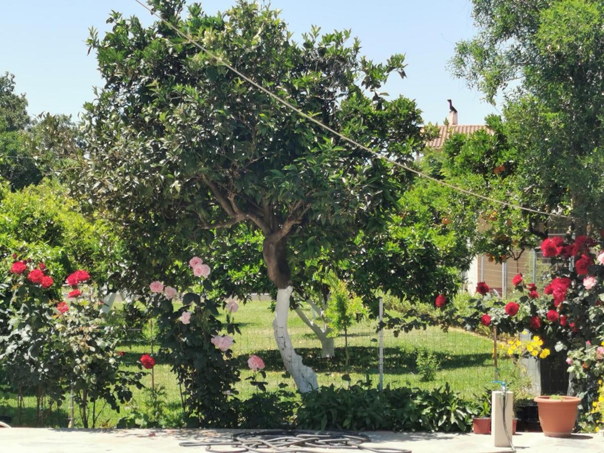 Apartment Kardiakafti Village Gastouni