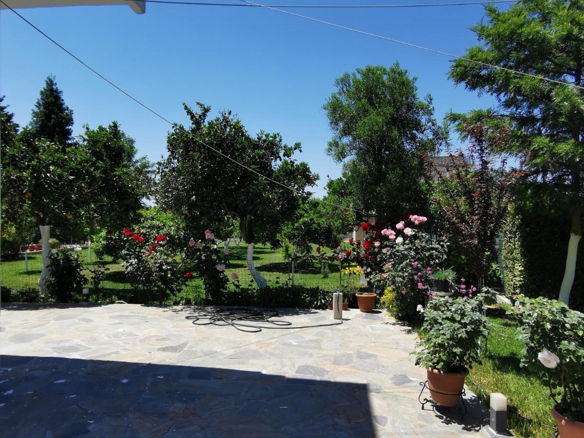 Kardiakafti Village * Gastouni