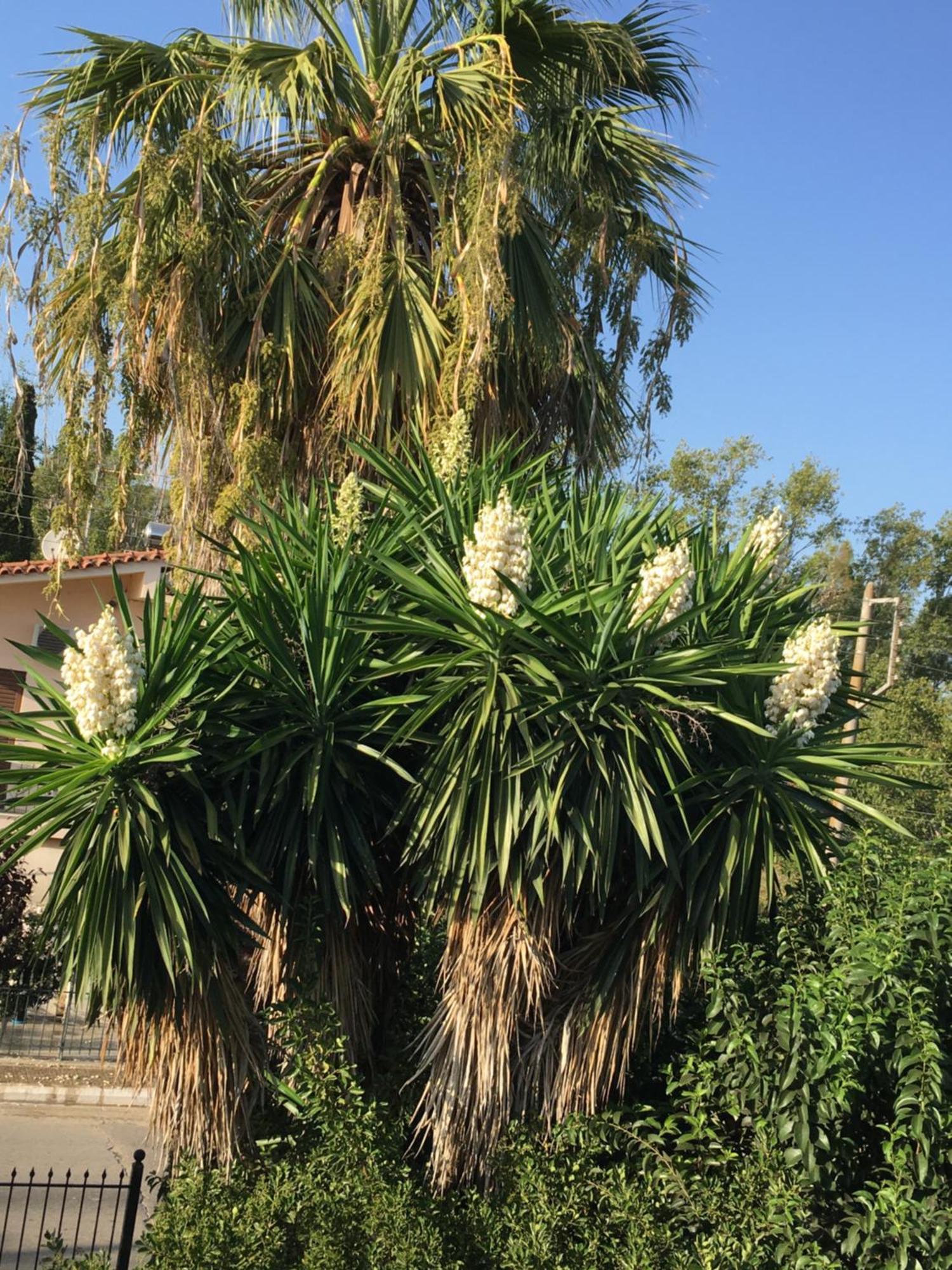 דירה Kardiakafti Village *