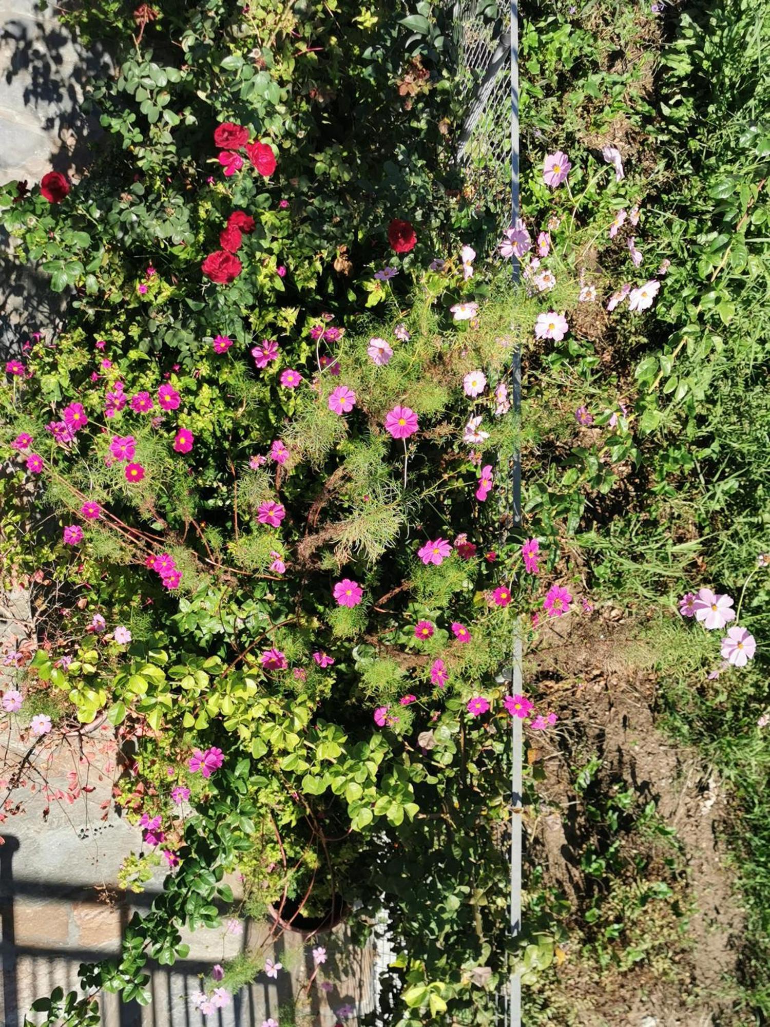 Kardiakafti Village דירה Gastuni