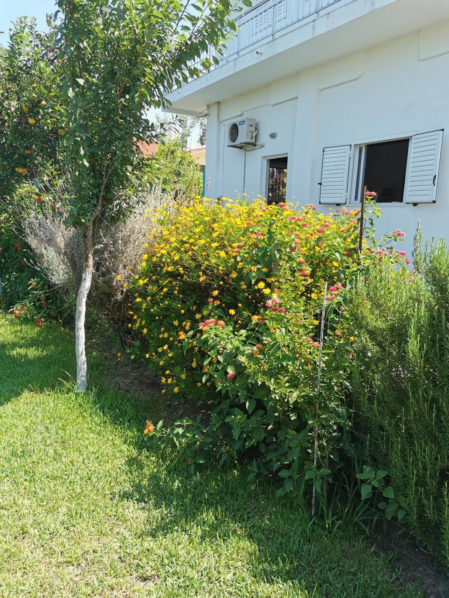 דירה Kardiakafti Village *